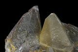 Dogtooth Calcite Crystal Cluster - Morocco #96846-1